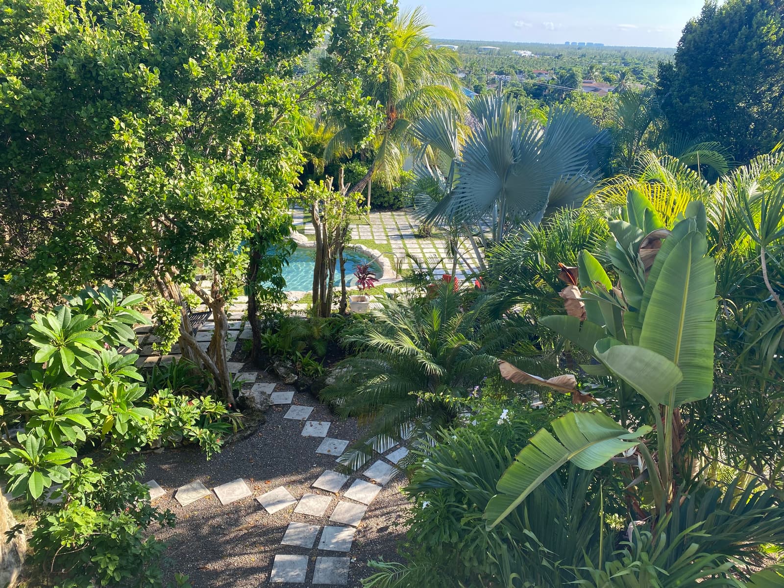 Looking down over the property's gardens, a stone path winding between palms and flowering shrubs to the pool terrace
